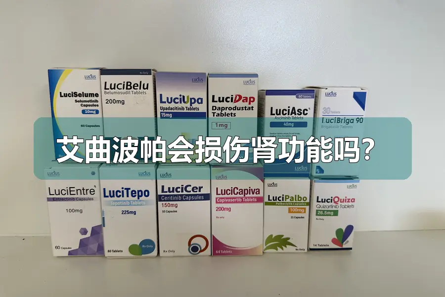 艾曲波帕会损伤肾功能吗？